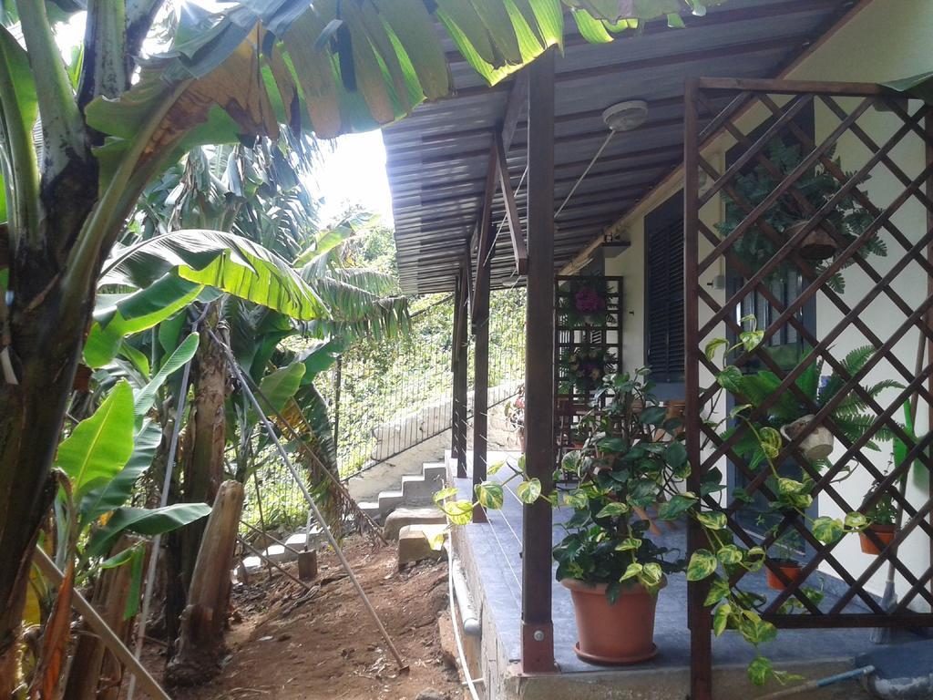 Case de vacanță Cantinho Das Bananas