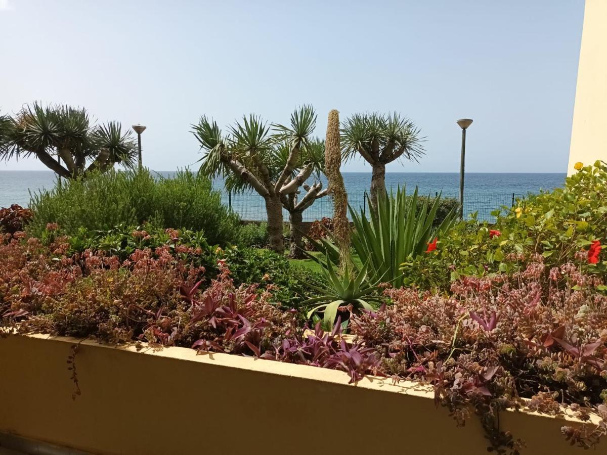 Tranquil Beachside - Atlantic Gardens * Funchal (Madeira)