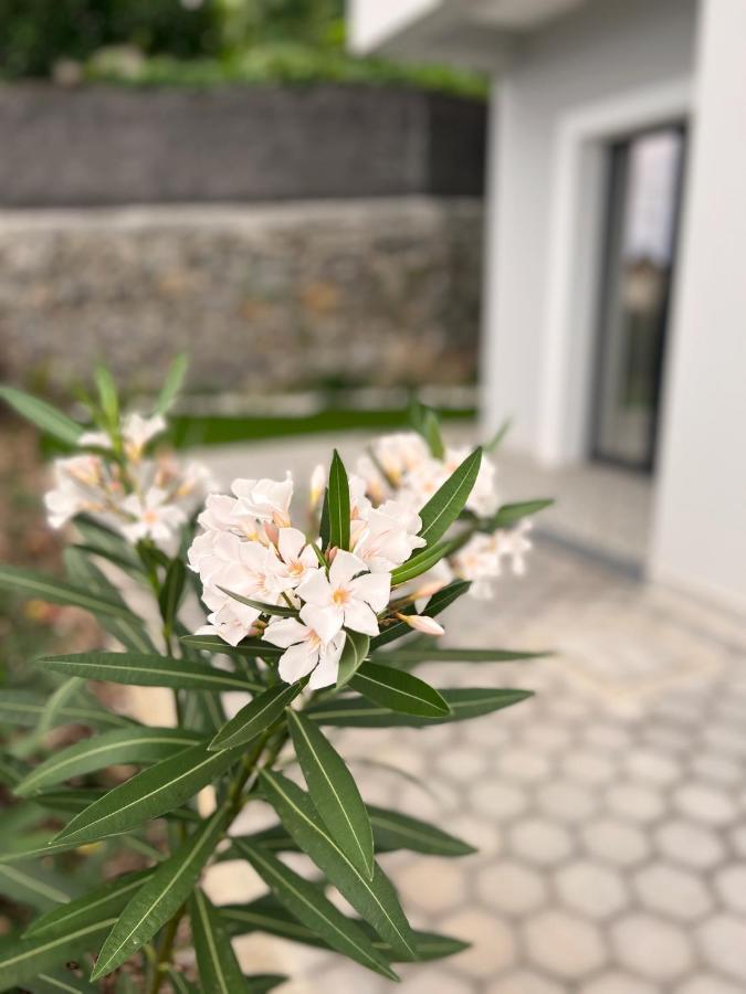Dona I At Botanical Garden Apartment