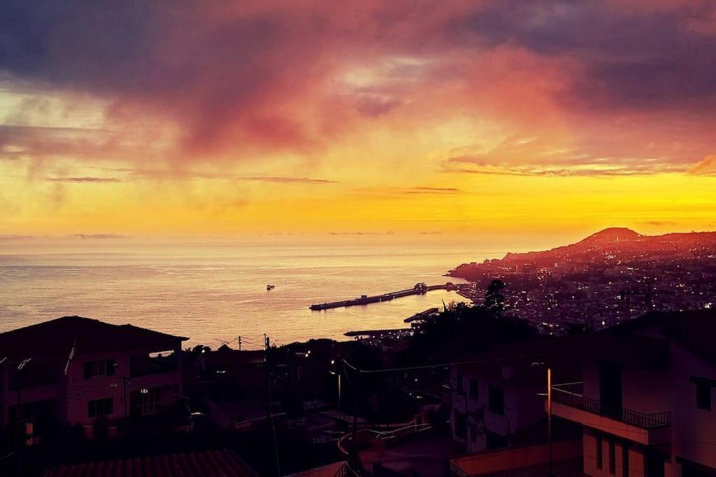 Madeira Mit Blick Auf Den Hafen *