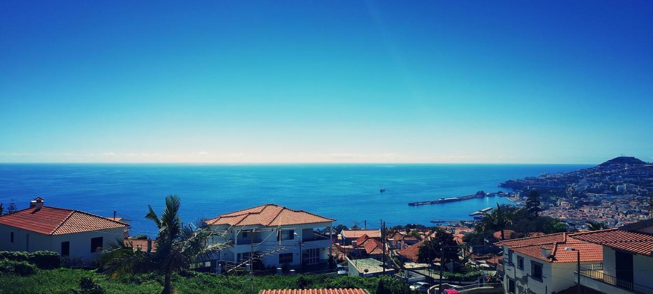 Madeira Mit Blick Auf Den Hafen * Funchal (Madeira)