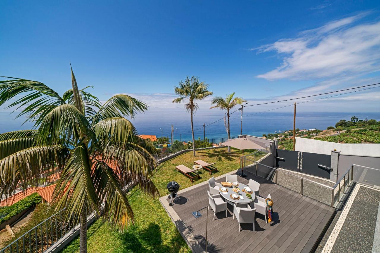 Papagaio By An Island Funchal (Madeira)