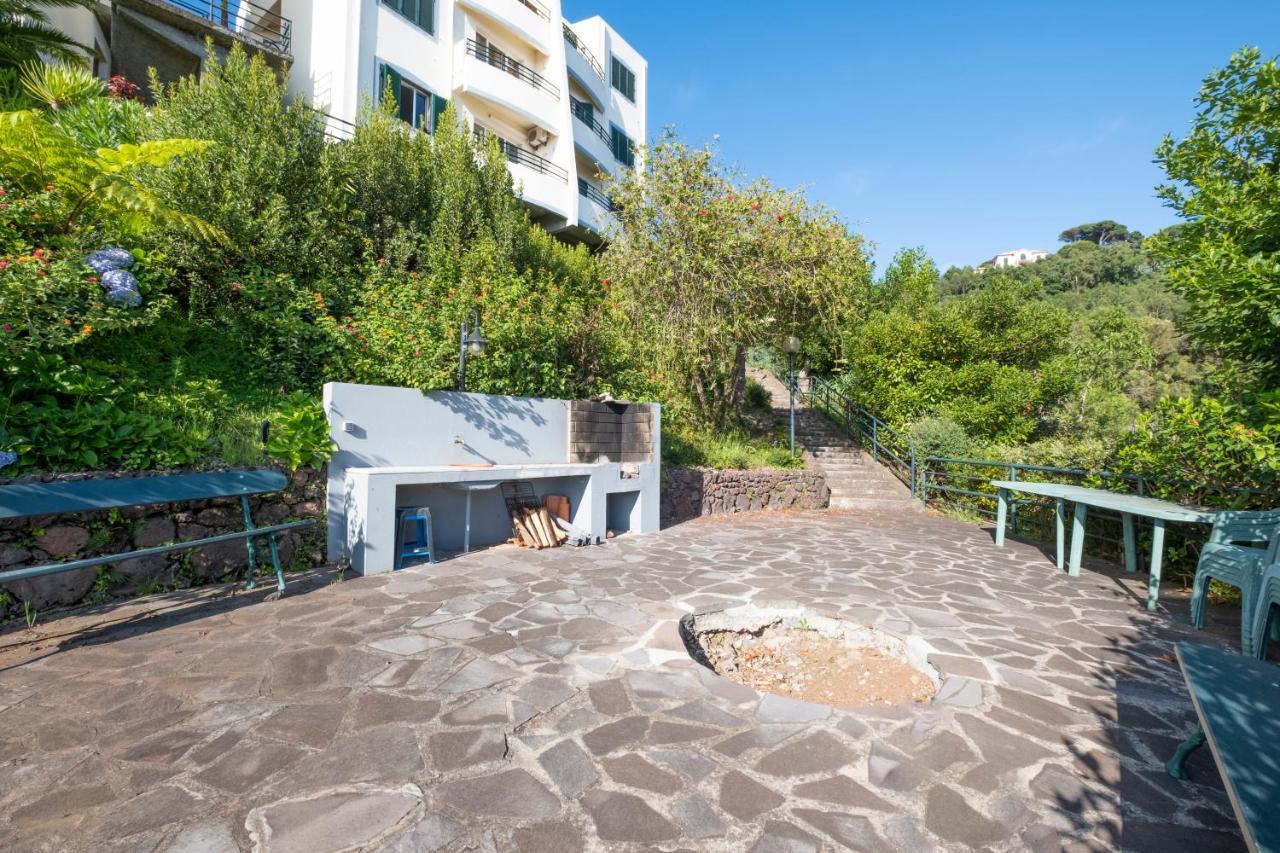 Tucha's Apartement Apartment Funchal (Madeira)