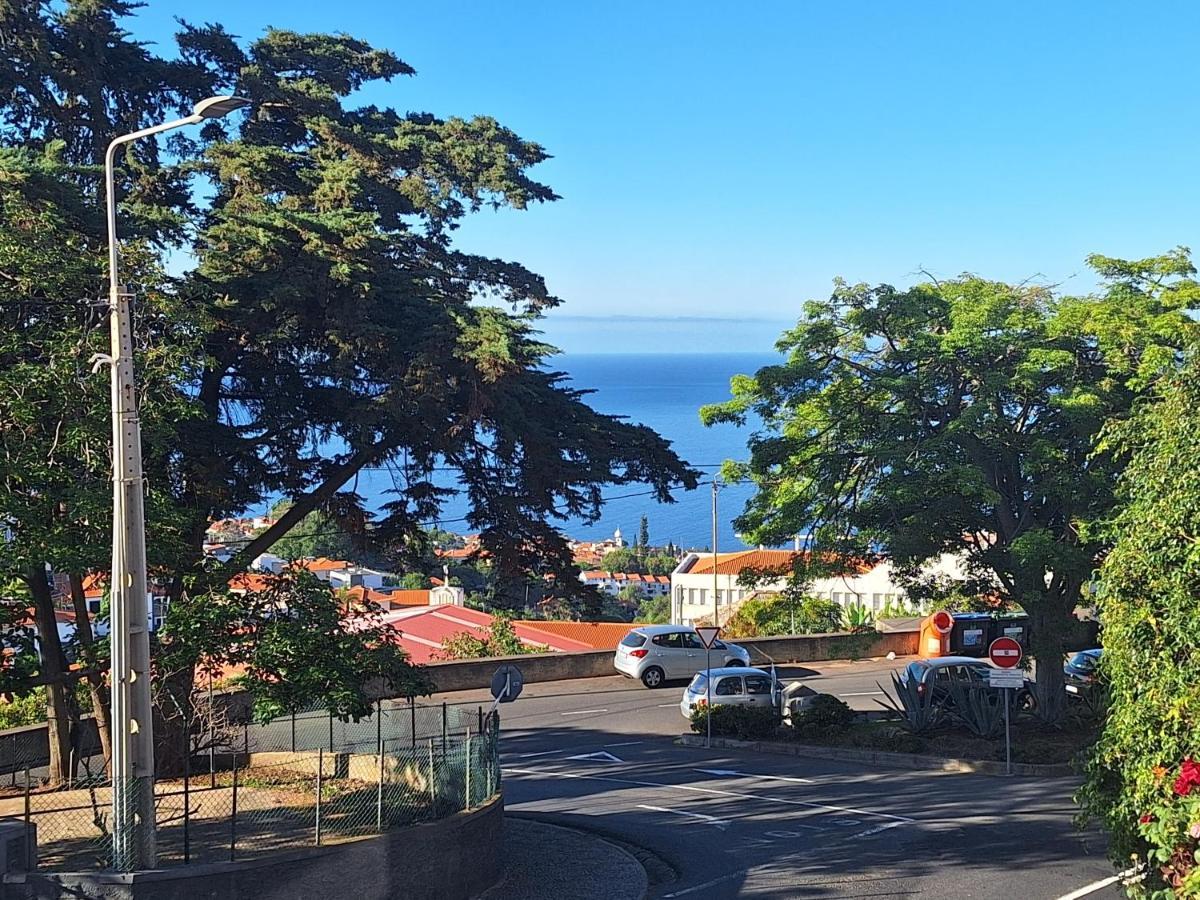 Apartment - New Botanic Garden Petit Funchal (Madeira)