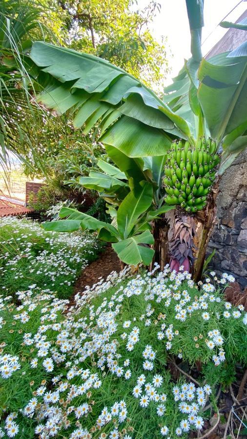 Chalet Casa Ideal Familias Com Vista Mar Desafogada Funchal (Madeira)