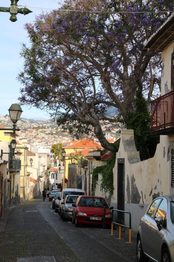 Alexia Frühstückspension Funchal (Madeira)