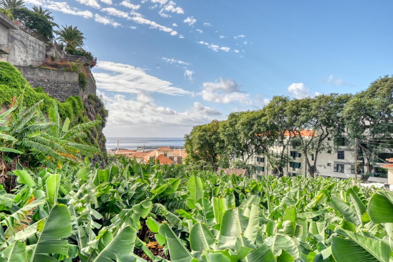 Rosa, A In Madeira *