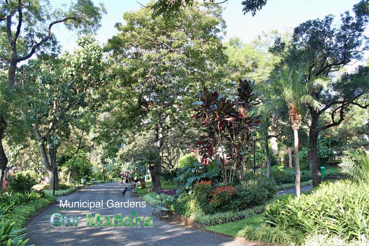 Ourmadeira - Belleveva Villa Funchal (Madeira)