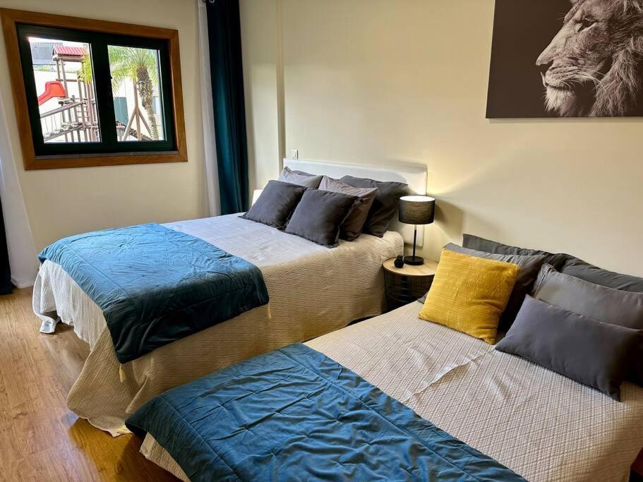 Apartment Super Anadia - Turquesa *