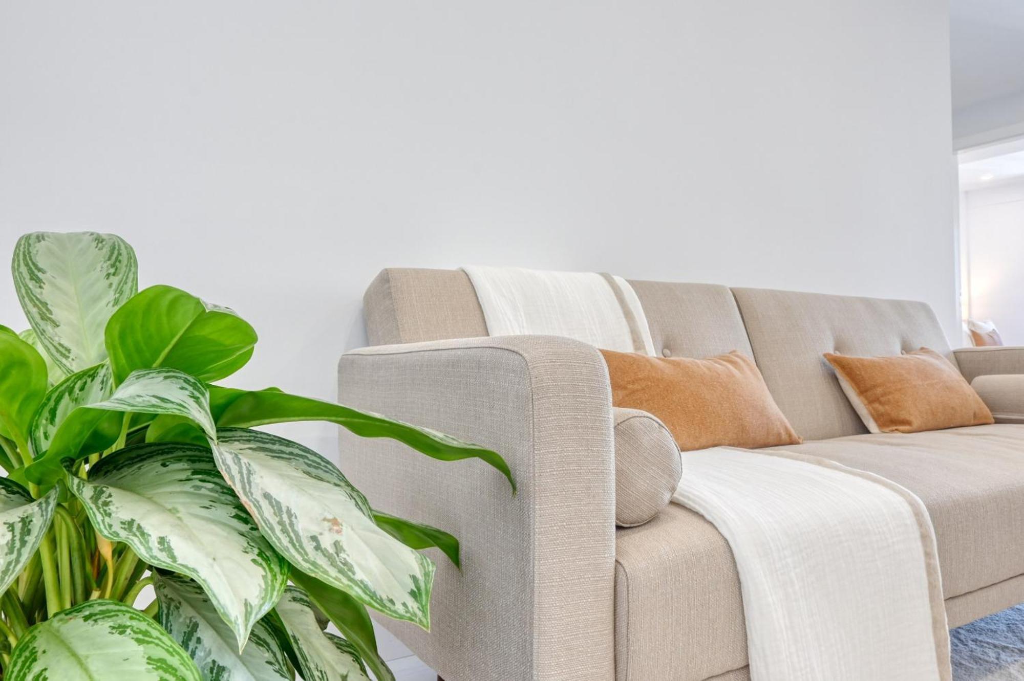 Apartamento Beco Santa Emilia 4o, A In Madeira Funchal (Madeira)