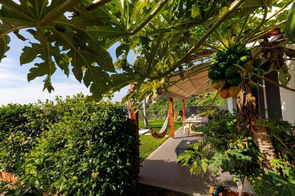Jolie Maison Vue Sur L'ocean Ferienhaus