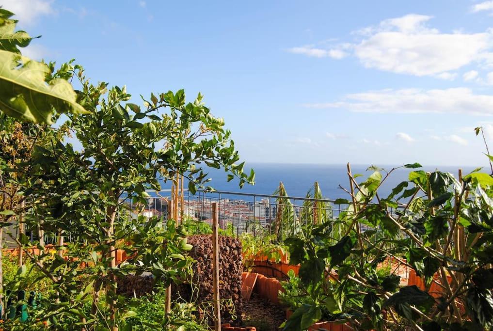 Ferienhaus Jolie Maison Vue Sur L'ocean