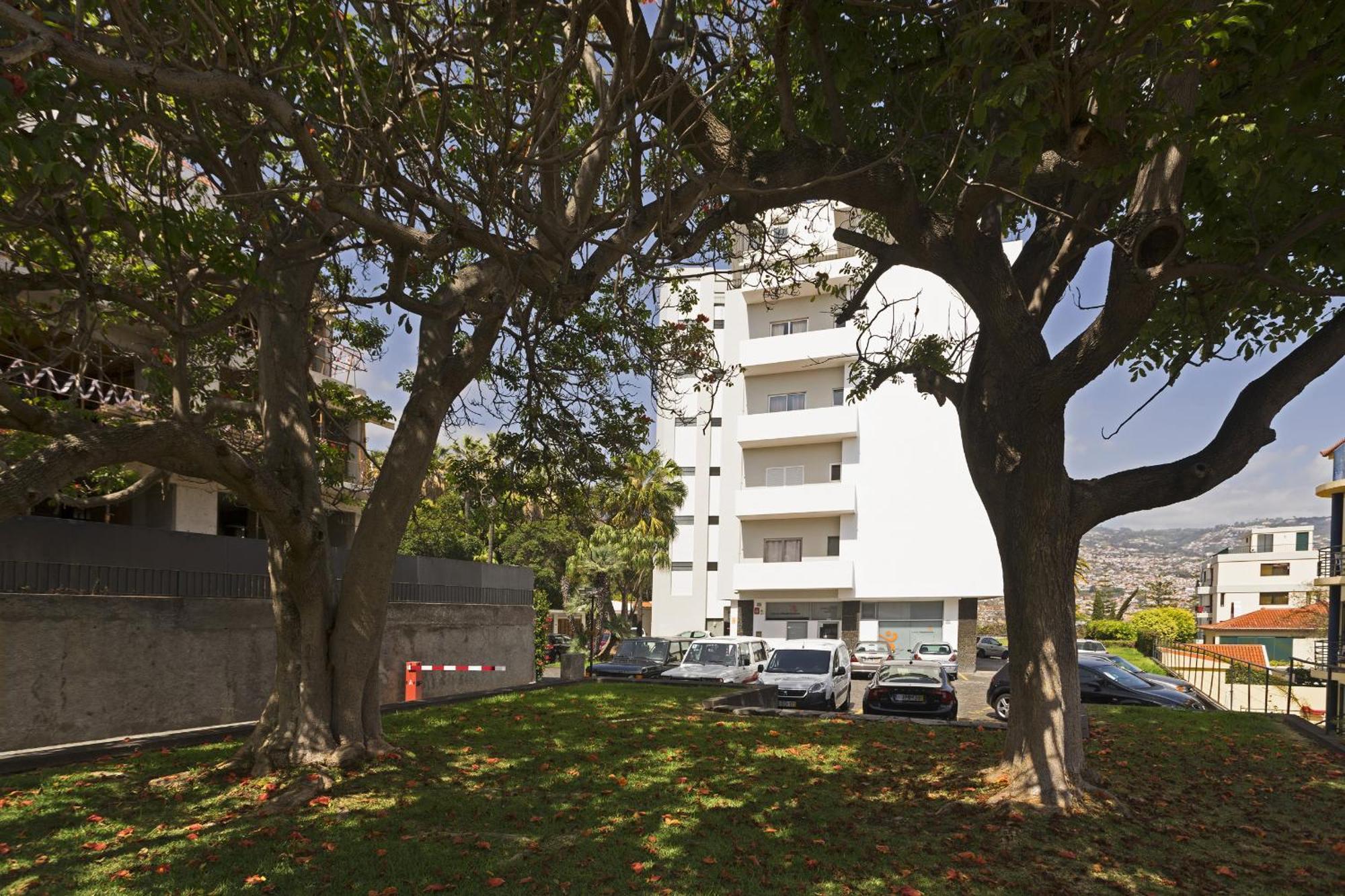 Jasmineiro - By Wehost Funchal (Madeira)