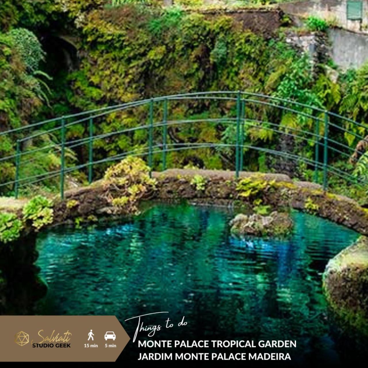 Geek - Open Space - 5m From 5 Attractions - Pool Year Round, Dining Pergola, Barbecue - Matrix Vilă