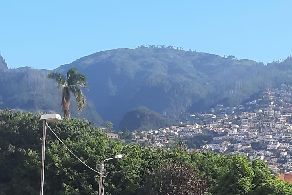 Apartment Apart. Inteiro Cheio De Luz, Tao Perto Do Centro Funchal (Madeira)