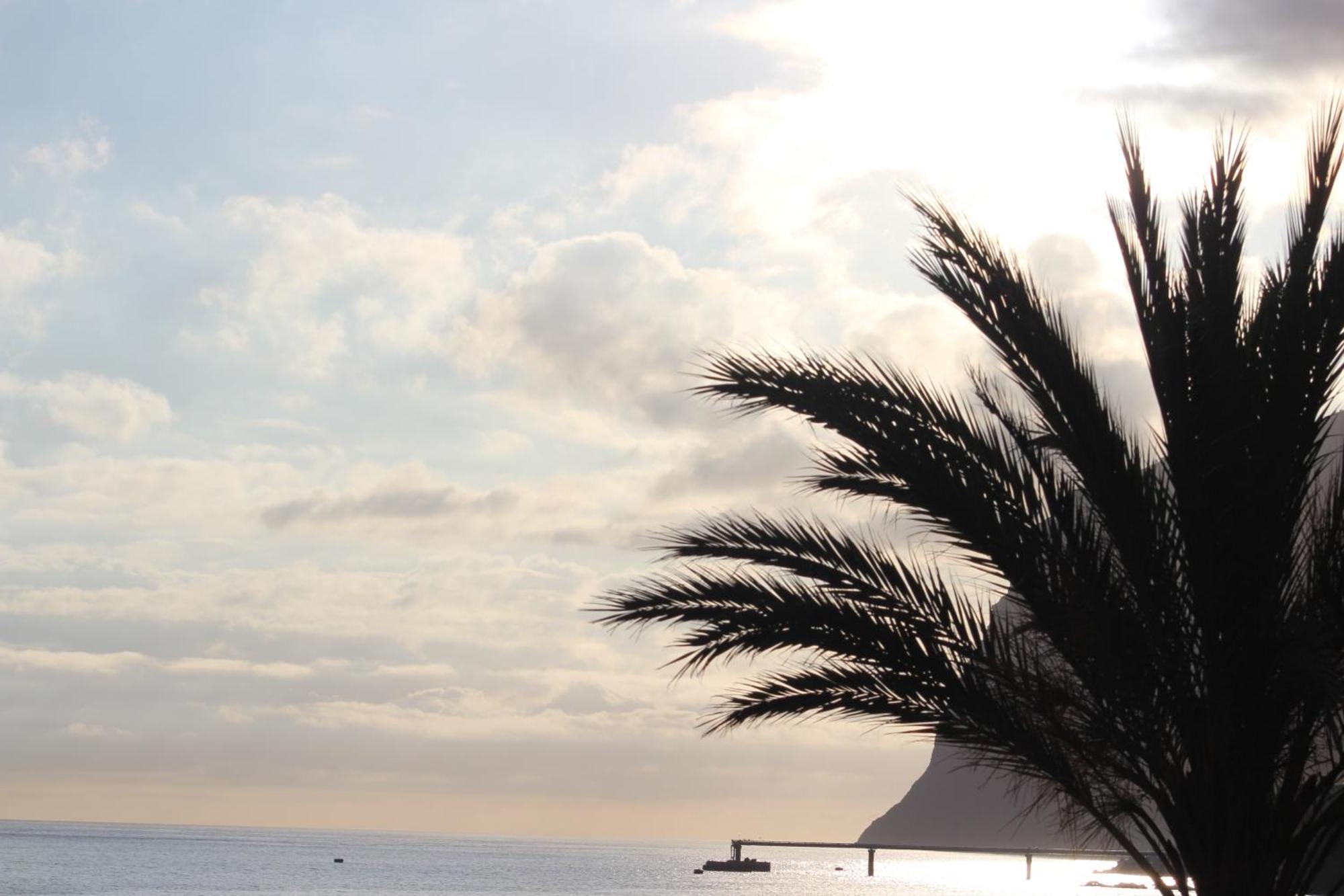 Atlantic Gardens - Atlanticgardensbeach Com *