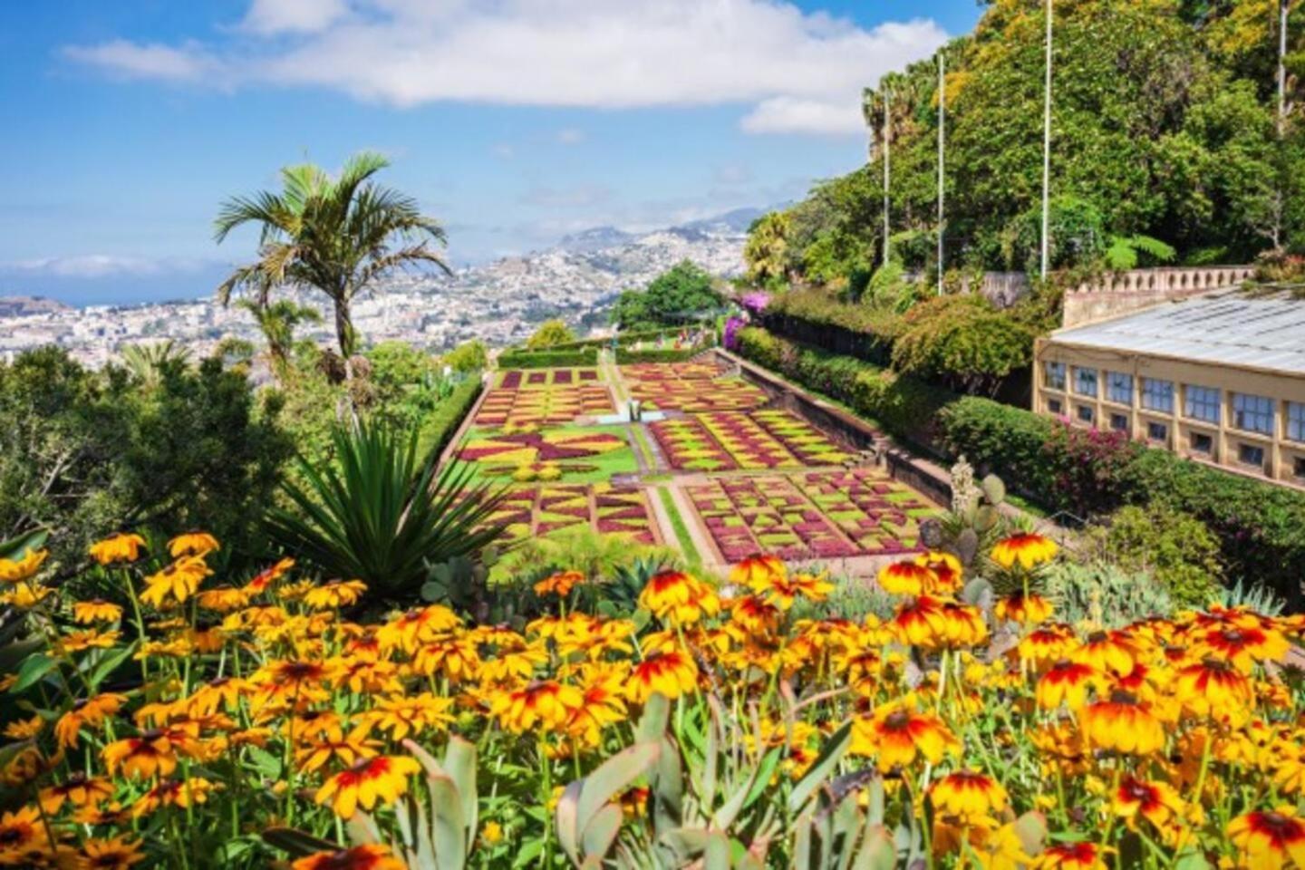 Comfortable 2-bedroom For Relaxing Funchal (Madeira)