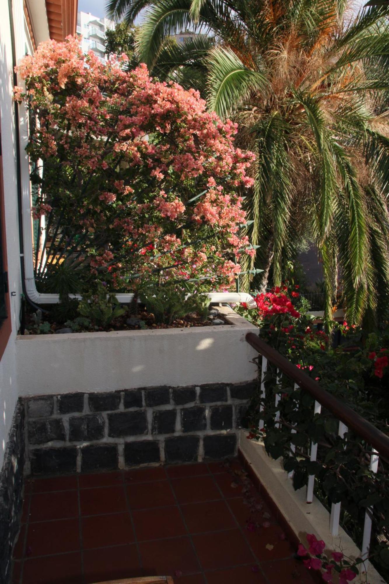 Calaca Funchal (Madeira)