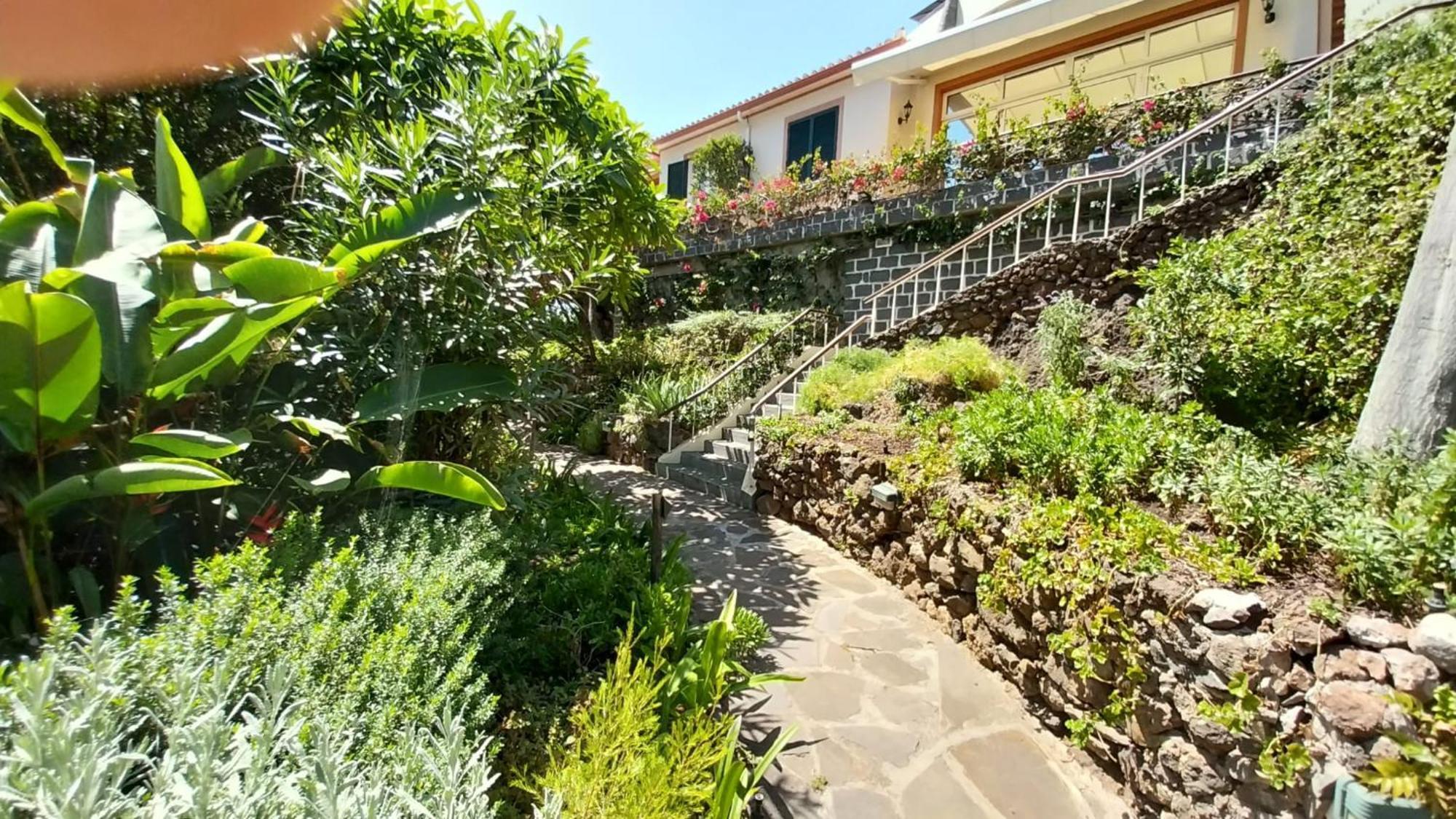 Calaca Villa Funchal (Madeira)