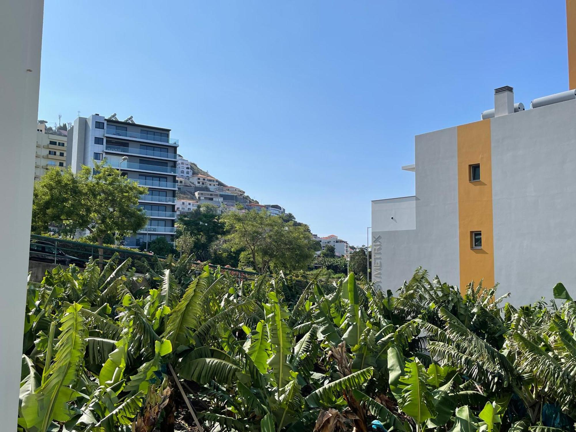Beach&comfort Cozy By The Ocean * Funchal (Madeira)