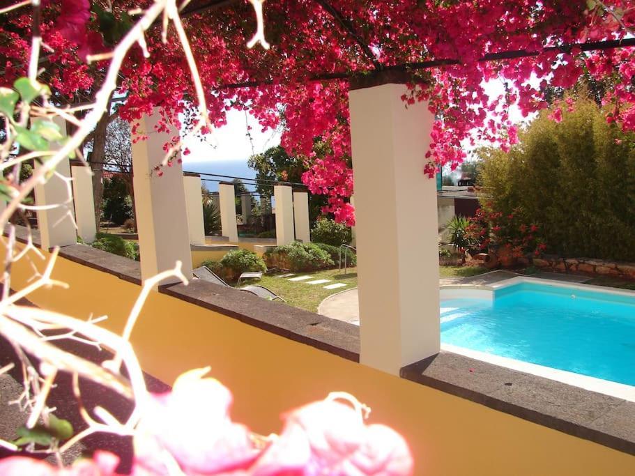 Private Pool Apt. With Great View