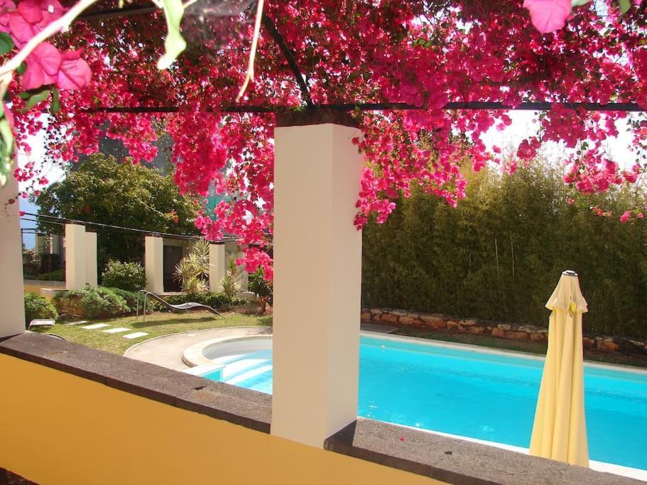 Private Pool Apt. With Great View