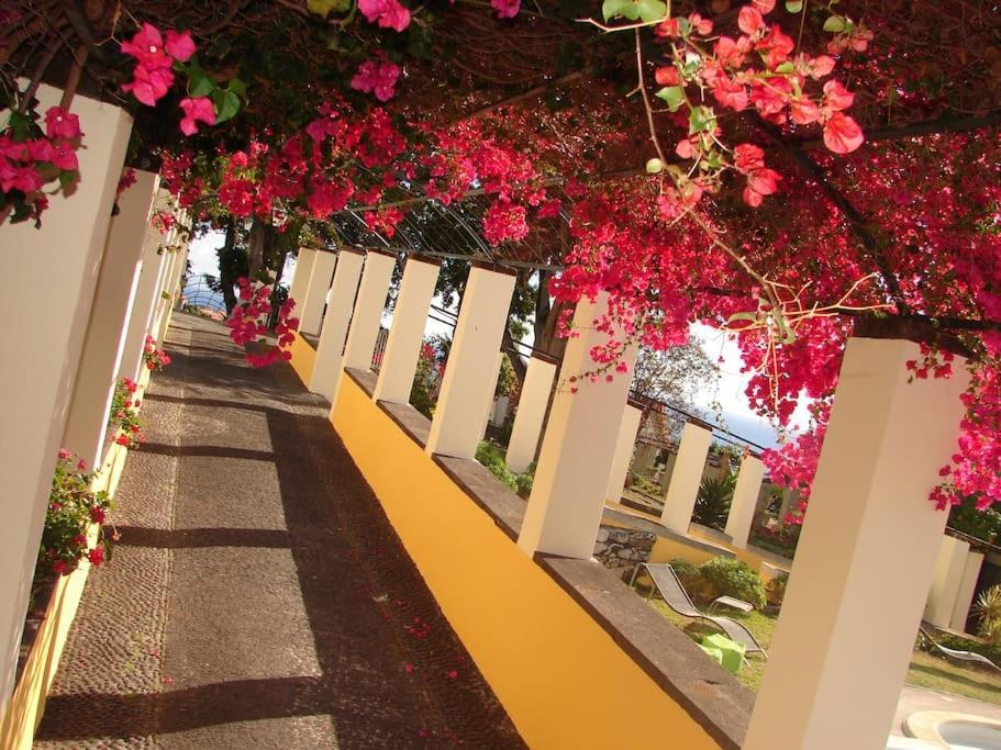 Apartament Private Pool Apt. With Great View Funchal (Madeira)