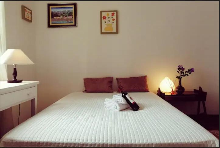 Sao Goncalo Case de vacanță