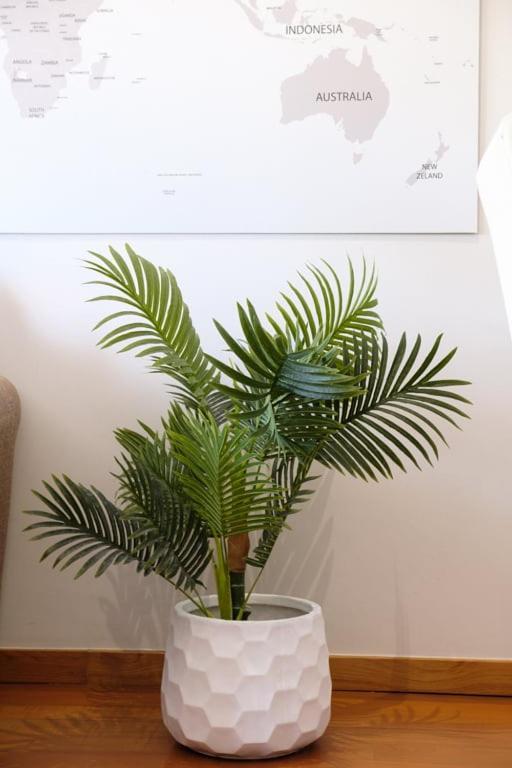Apartamento Guestready - A Sunny Delight In