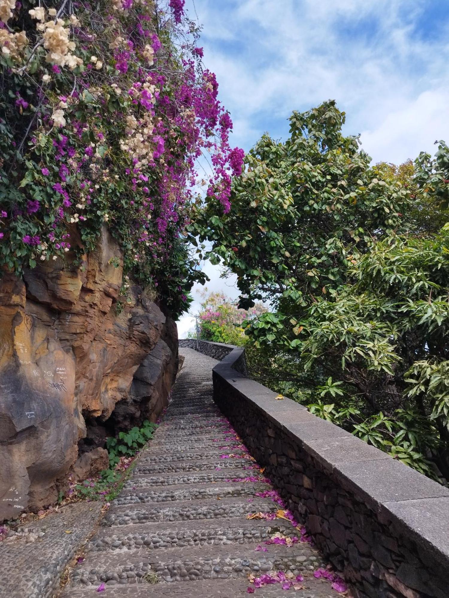 Alexia Frühstückspension Funchal (Madeira)