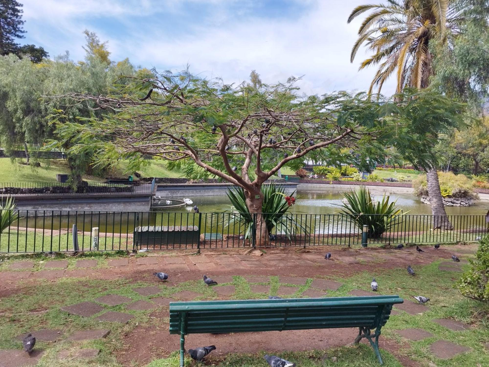 Alexia * Funchal (Madeira)