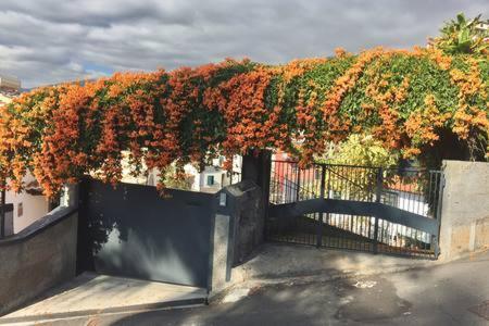 Rochinha Cozy Funchal (Madeira)