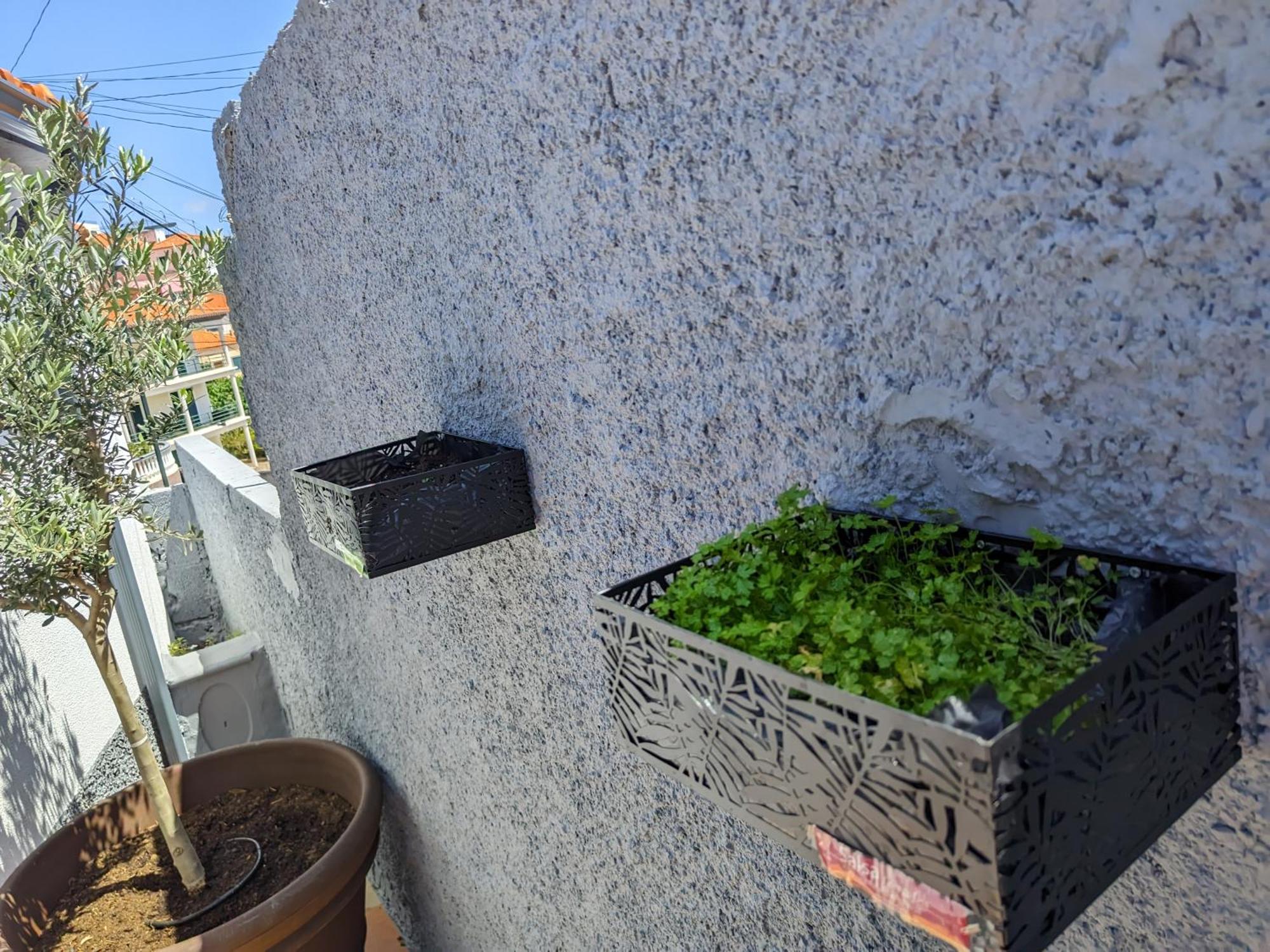 Casa Ascencao, Vista Mar Madeira * Funchal (Madeira)