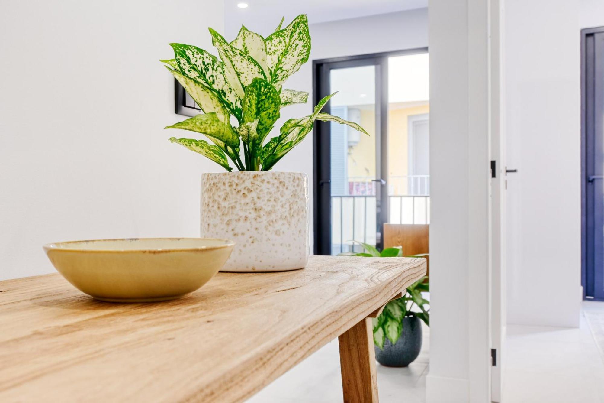 Apartment Beco Santa Emilia 2i, A In Madeira Funchal (Madeira)