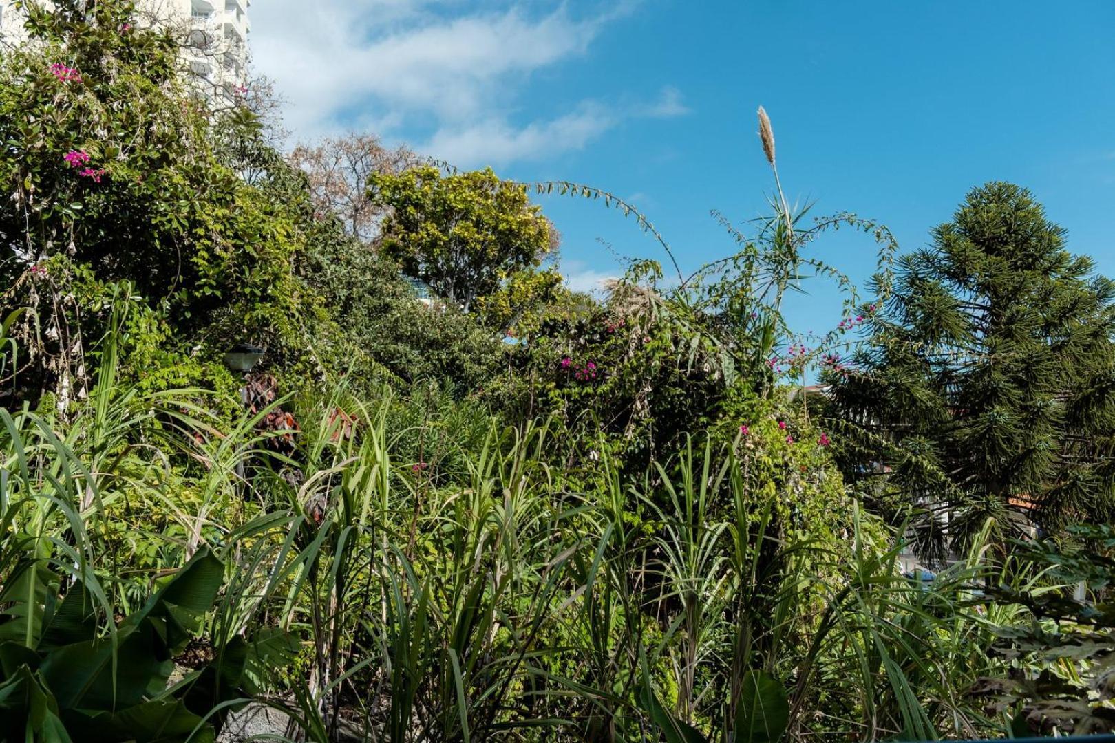 Guestready - Lido View Near The Beach * Funchal (Madeira)