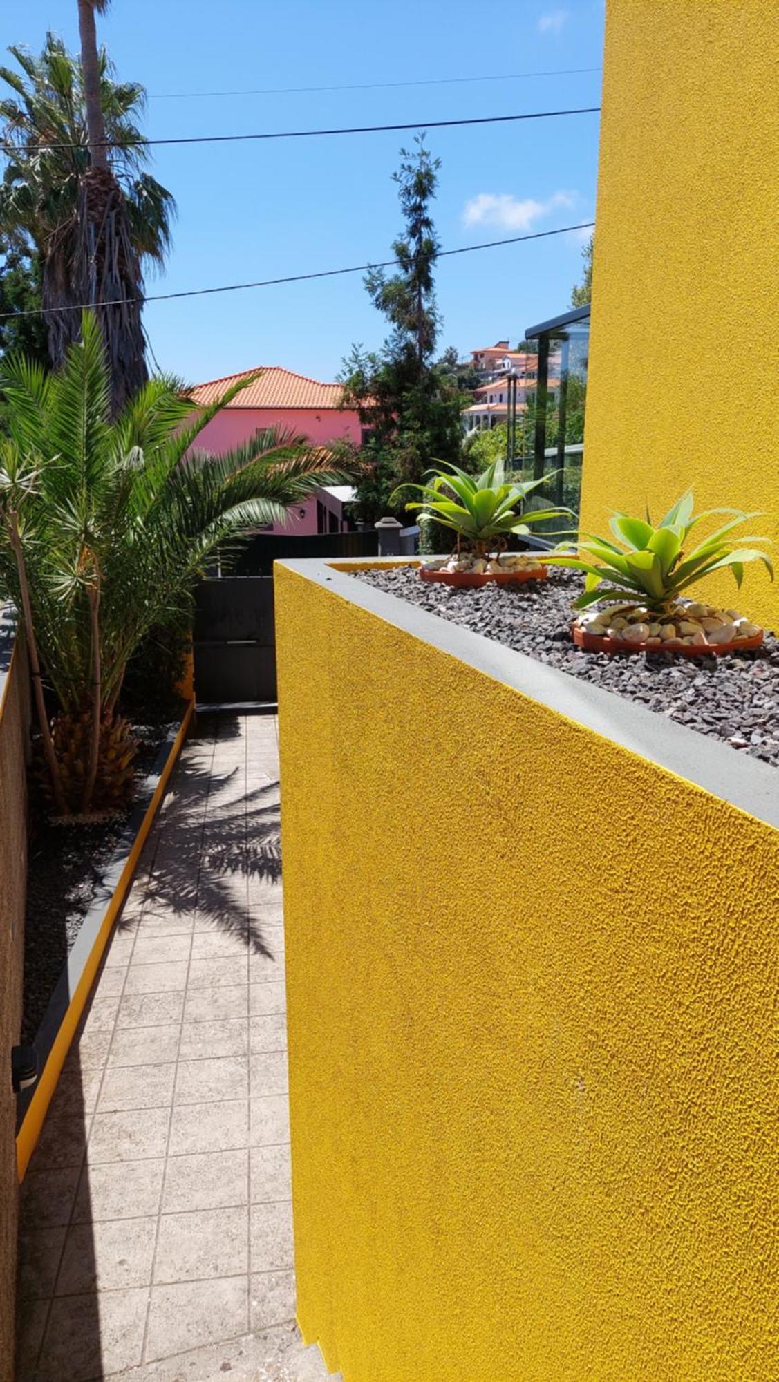 Strelitzia Villa