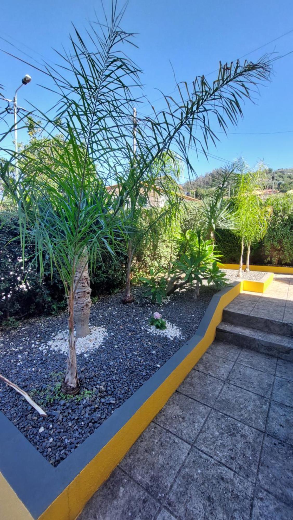 Strelitzia Villa Funchal (Madeira)