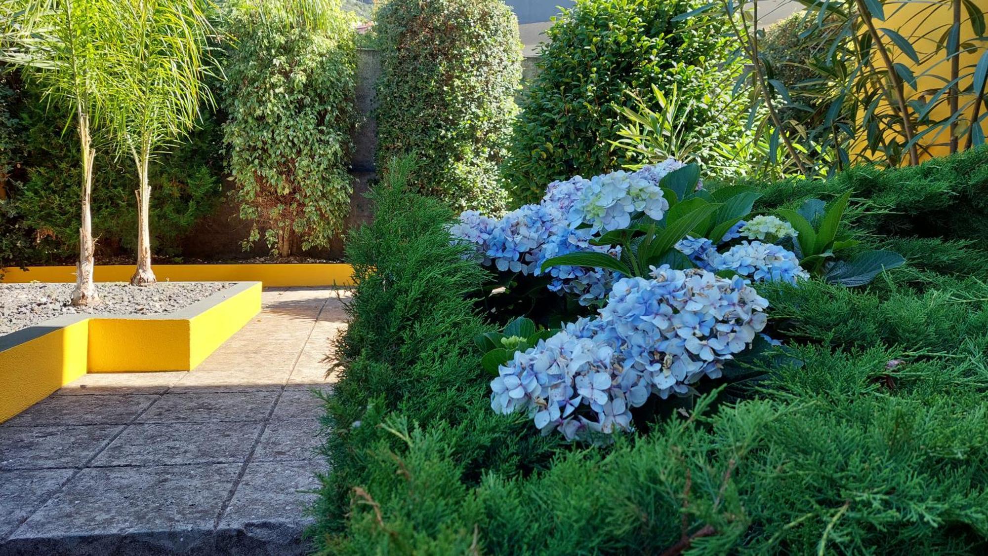 Strelitzia Villa Funchal (Madeira)