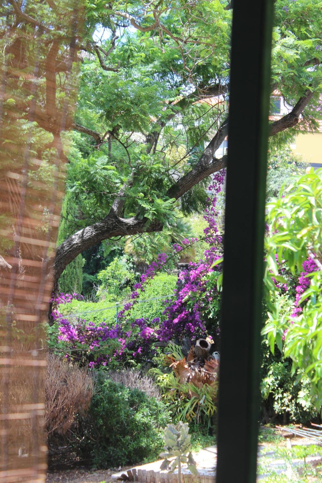 Homestay A Quintinha Funchal (Madeira)