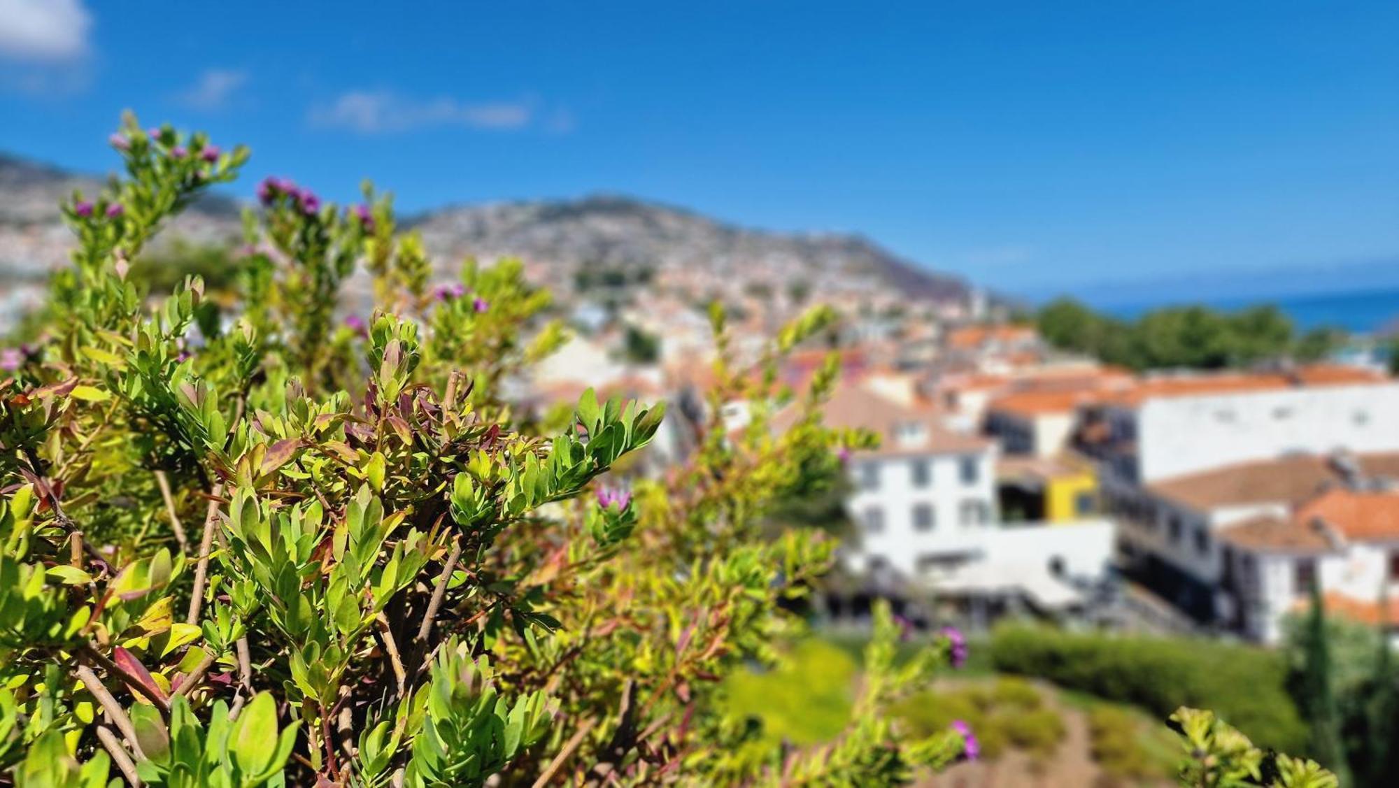 The Urban Retreat By Lovelystay * Funchal (Madeira)