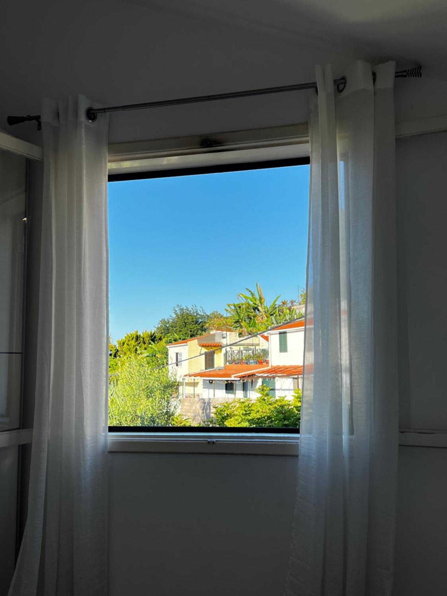 Away From Gazde/Camere de închiriat