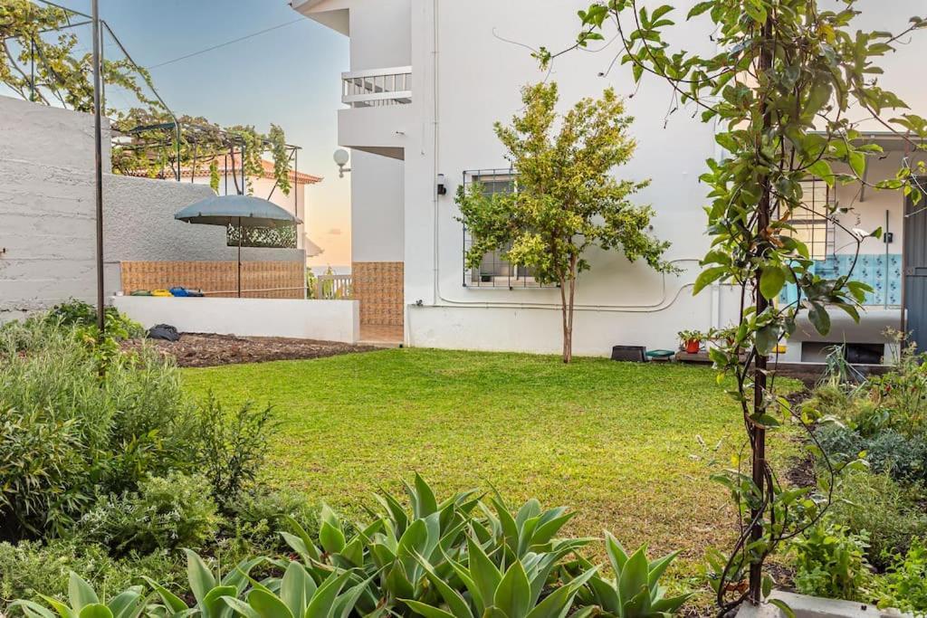 Casa Do Pinheiro Holiday home *