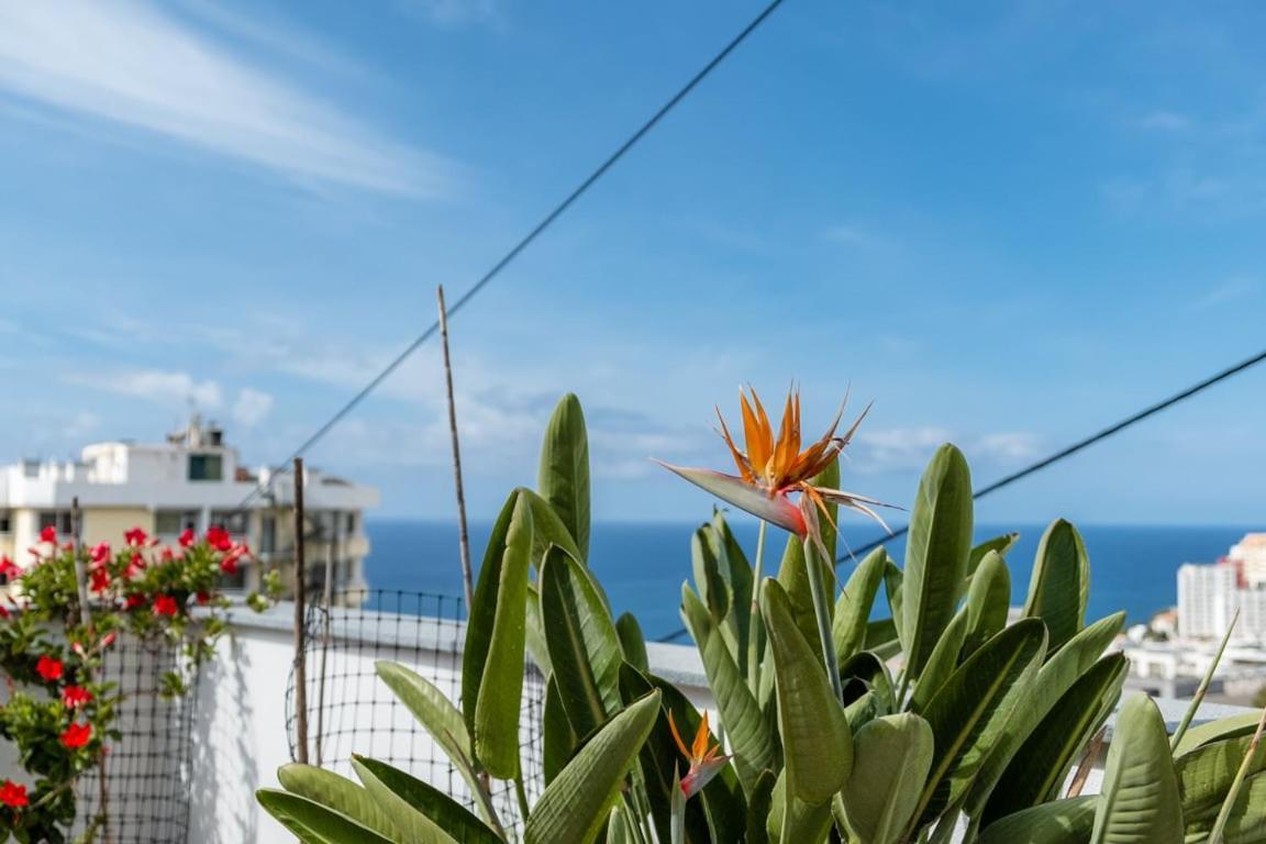 Guestready - Anakaj House Funchal (Madeira)