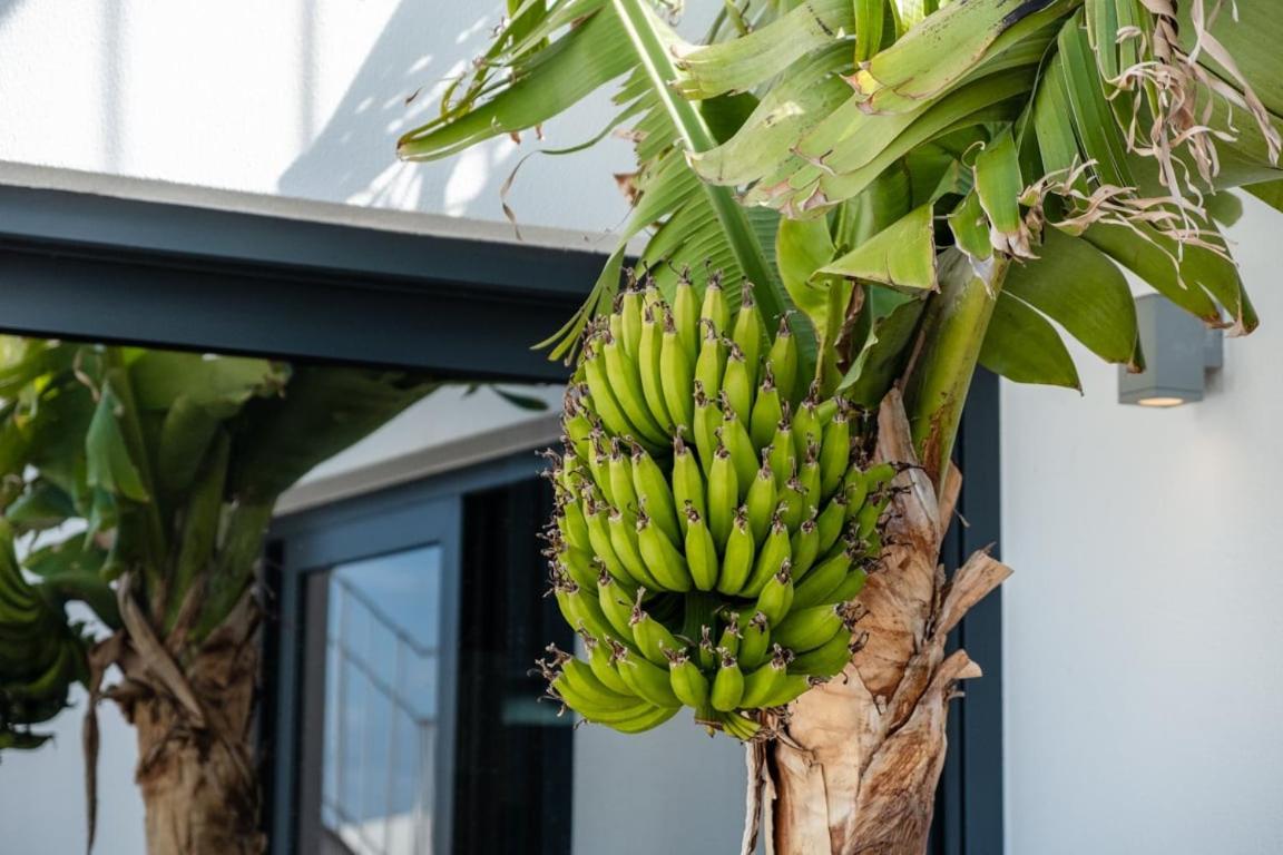 Guestready - Anakaj House Casa de hóspedes Funchal (Madeira)