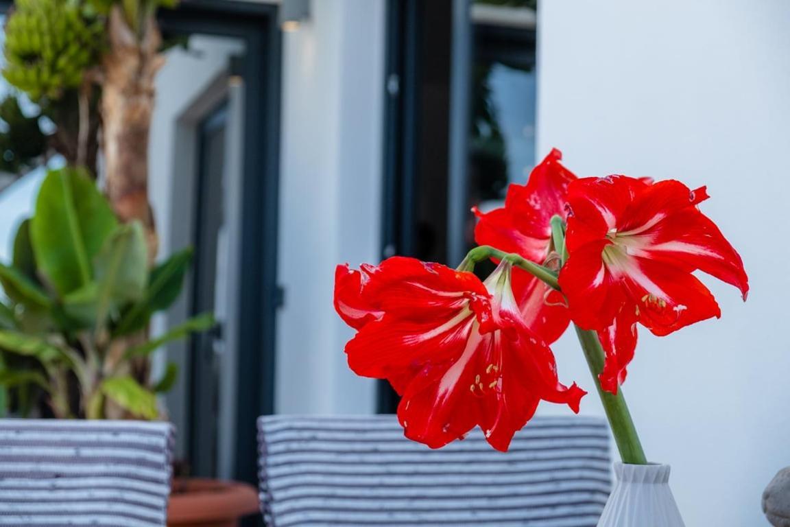 Guestready - Anakaj House Casa de hóspedes Funchal (Madeira)