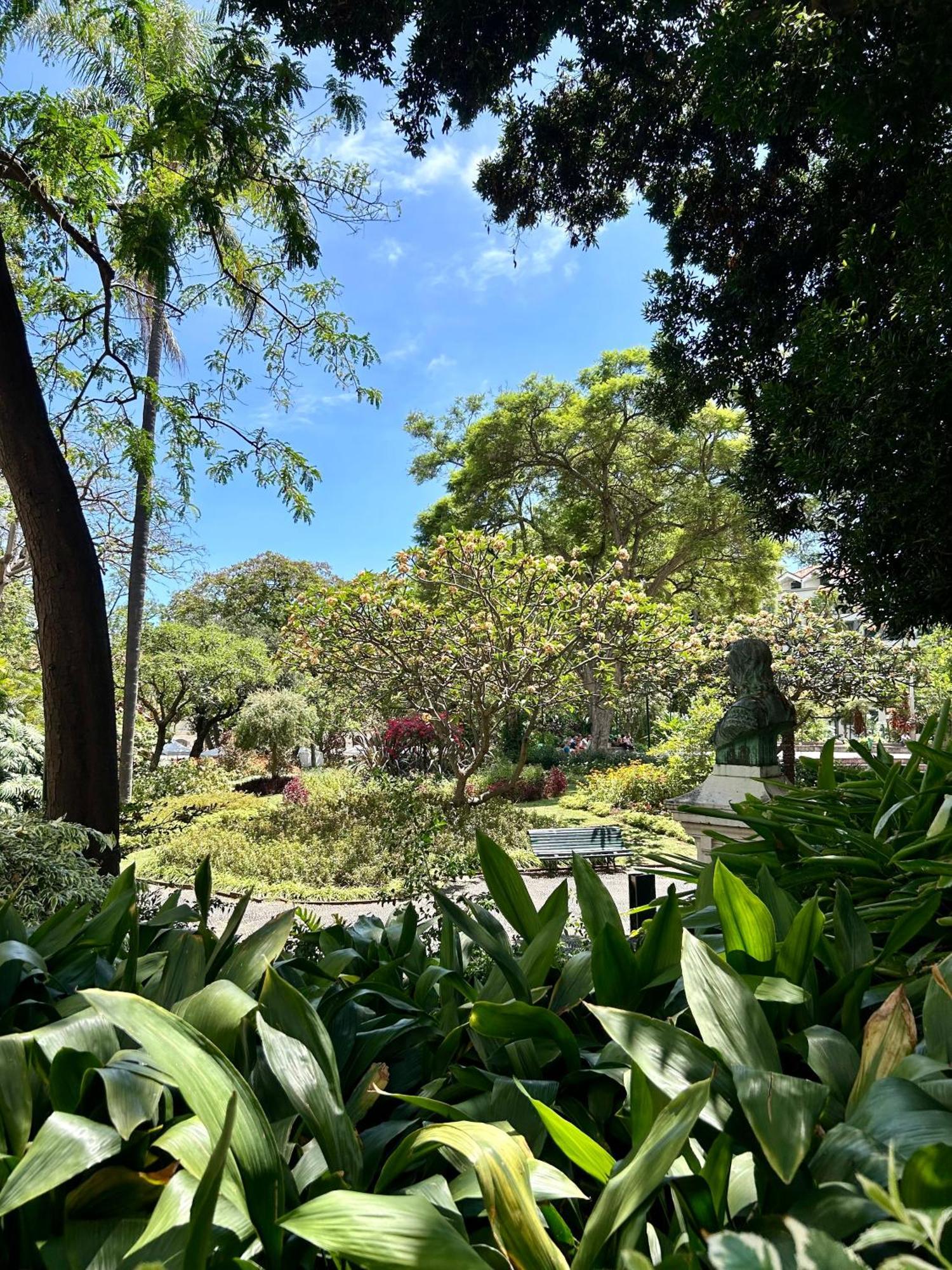 Apartment Minorca Funchal (Madeira)