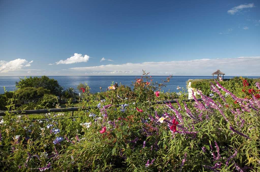 Aparthotel The Porto Mare - Portobay Funchal (Madeira)