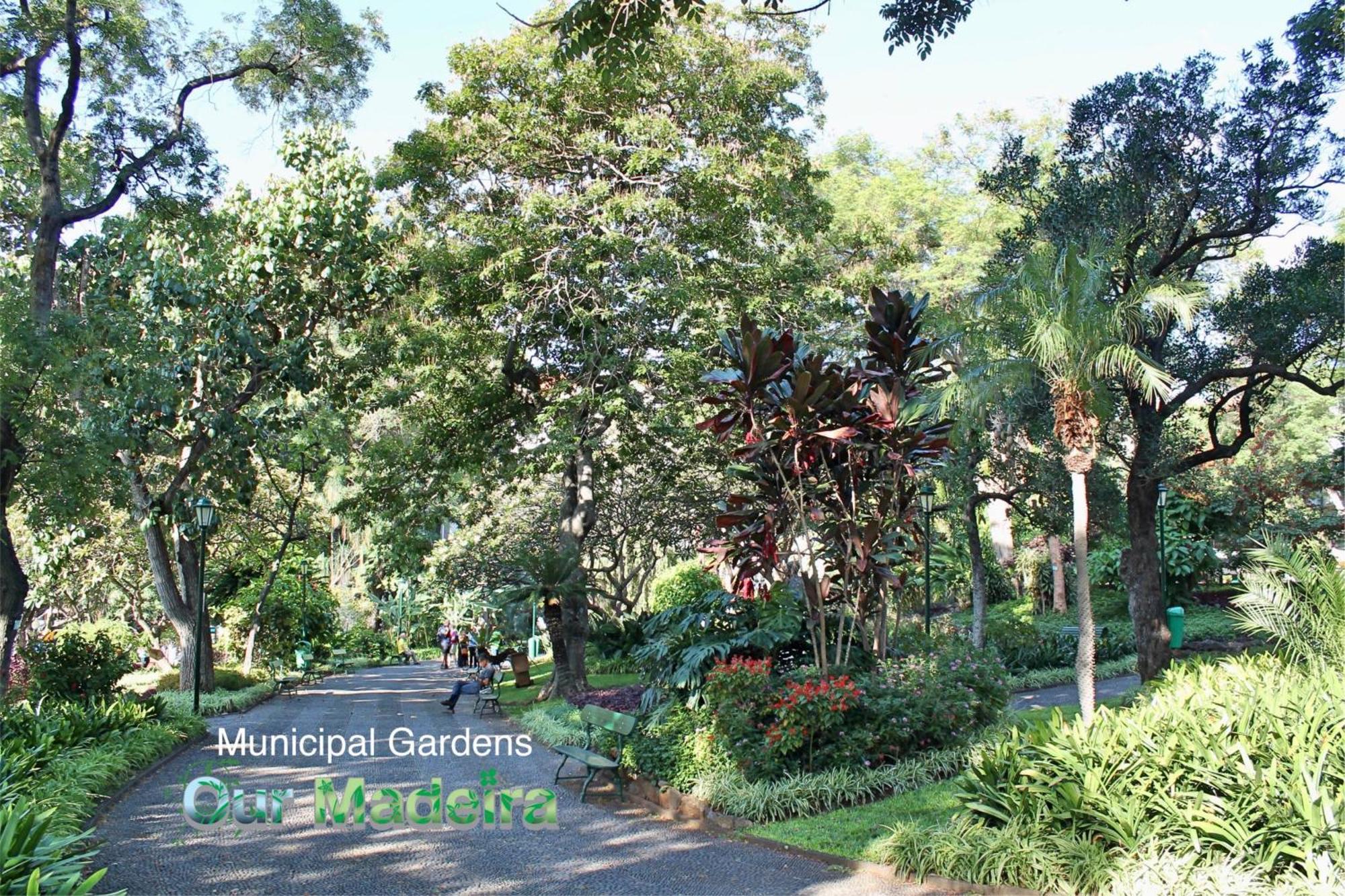 Ourmadeira - Vintage Garden