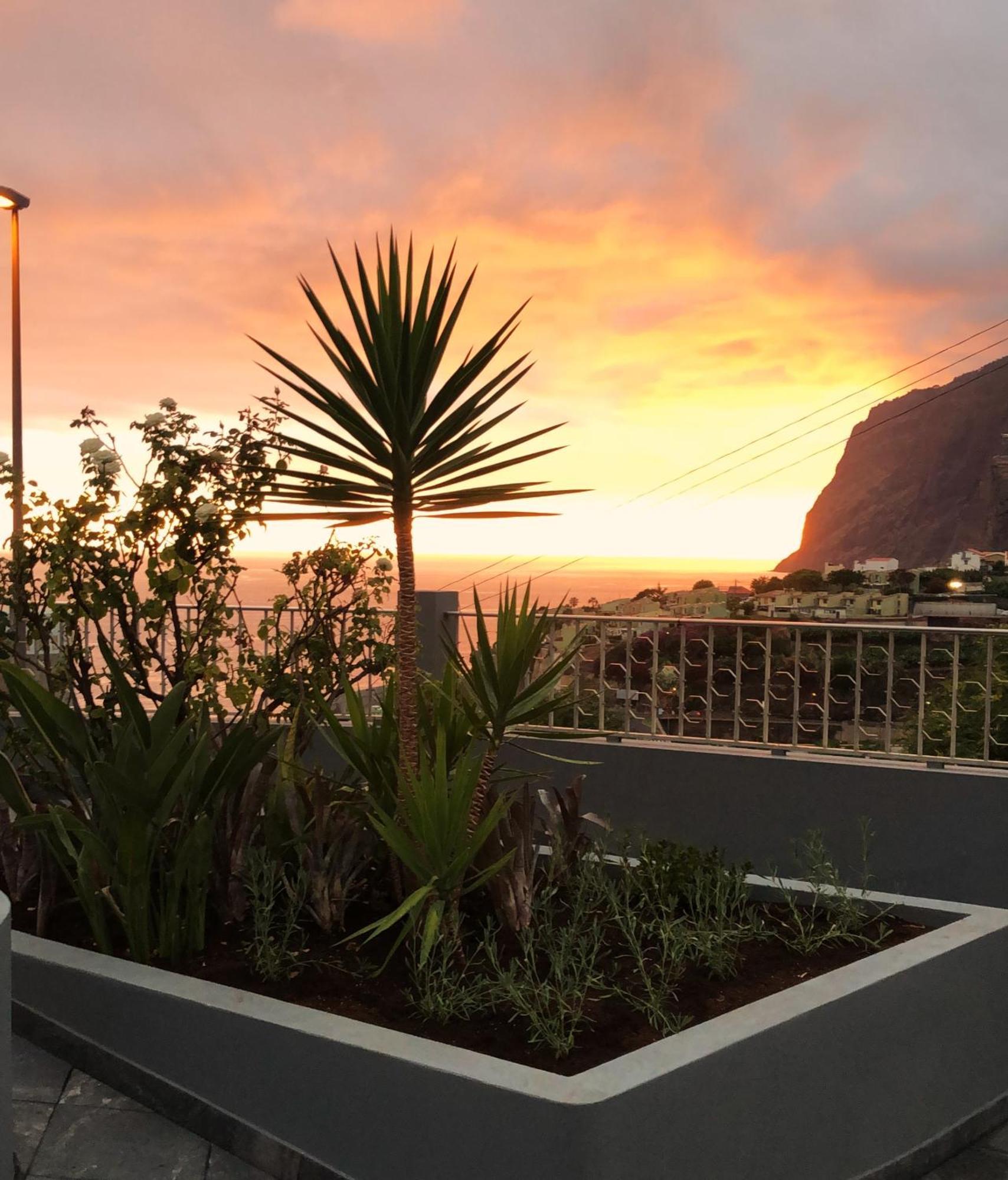 Apartment Oasis -