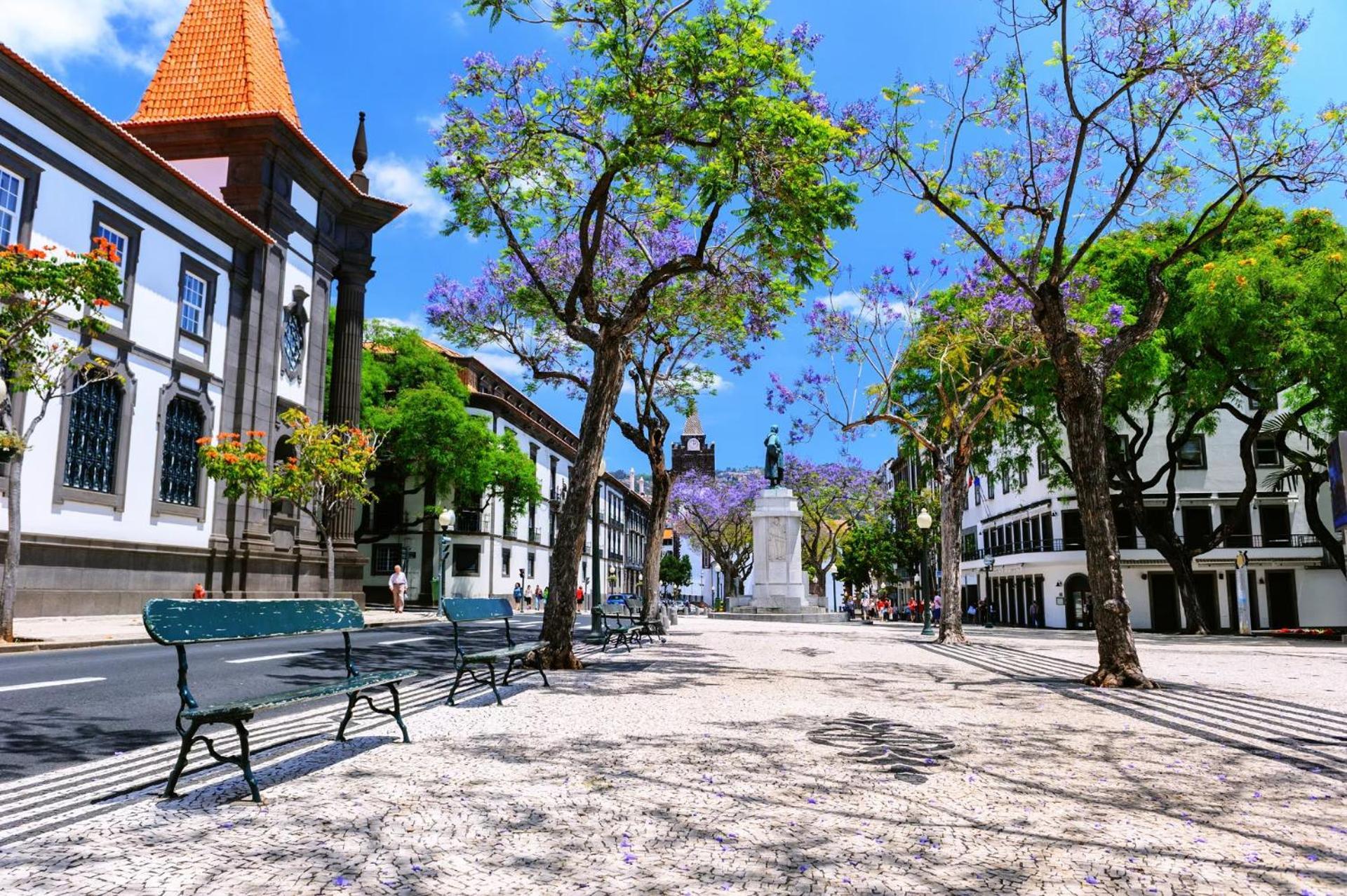 Casa Trollis By Madeira Funchal (Madeira)